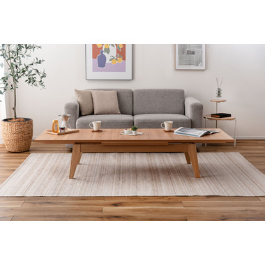 東谷 CPN-102BR ブラウン Copan(コパン) エクステンションテーブル