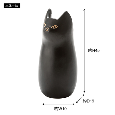 黒猫 クロちゃん🐈‍⬛ 小笠原諸島の母島から来たよ🖤 #黒猫は幸せを
